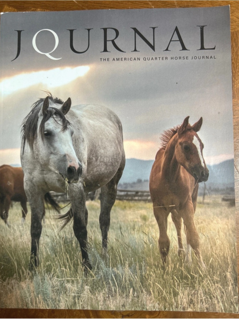 American Quarter Horse Journal - April-May 2021